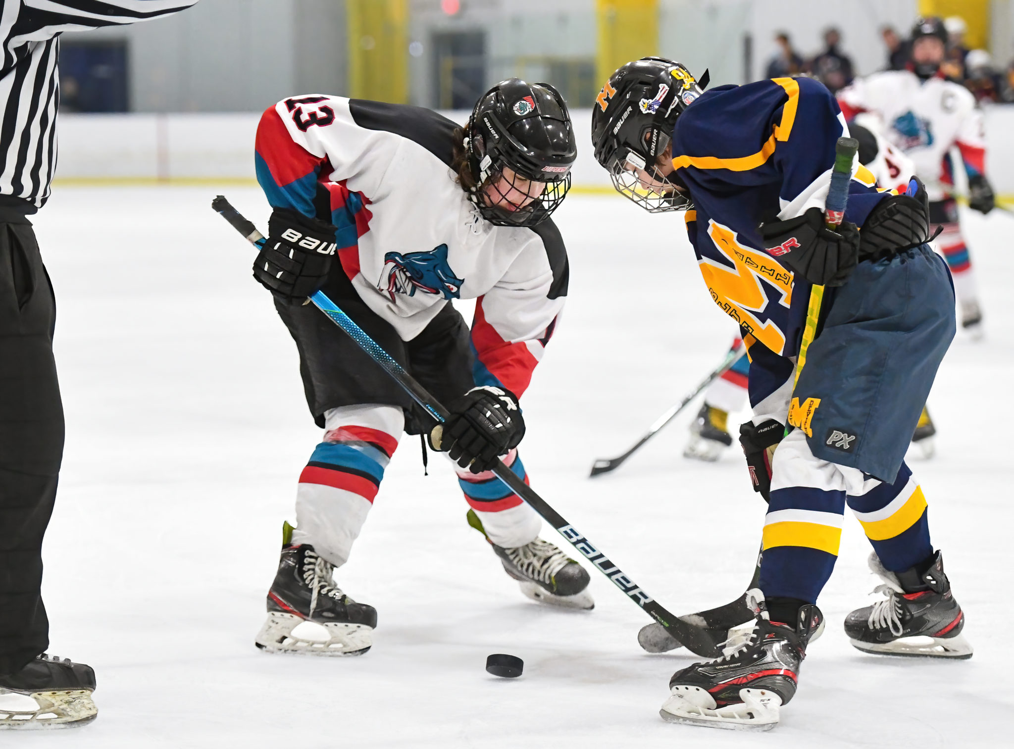 atlantic hockey league bmo