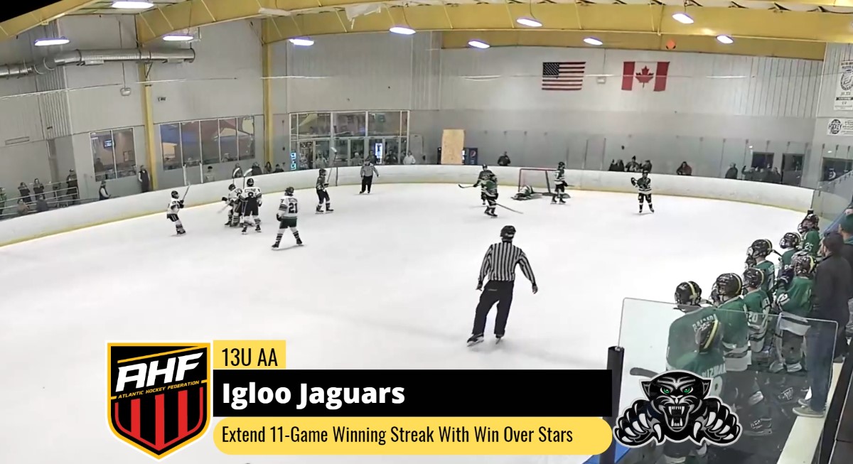 Igloo Jaguars Ice Hockey Club