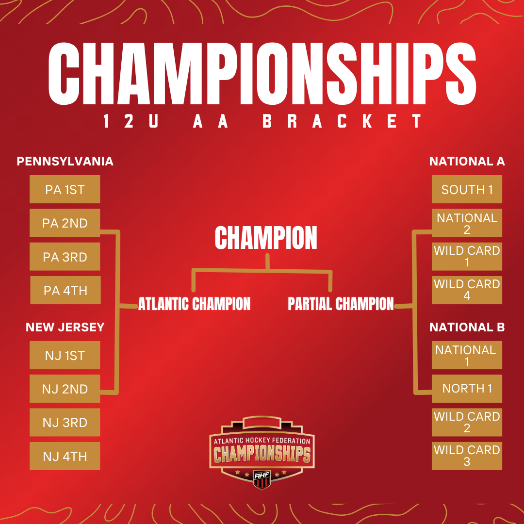 AHF 12U AA Bracket